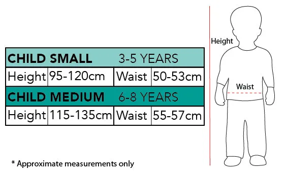 Disney's Frozen 2: Elsa - Classic Dress (6-8 Years)
