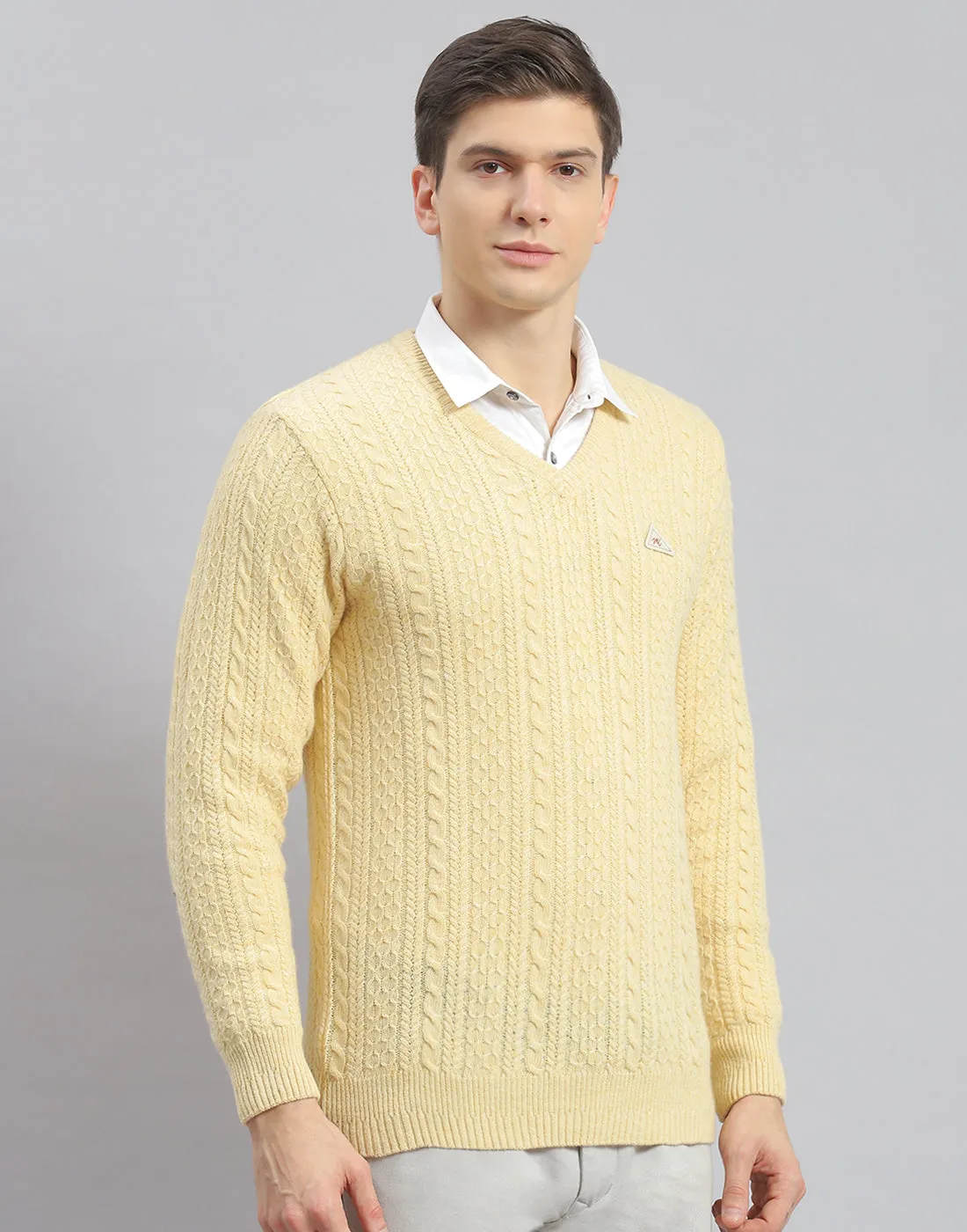 Men Cream Self Design V Neck Full Sleeve Pullover