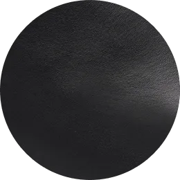 Noemi Belt Black 2.0