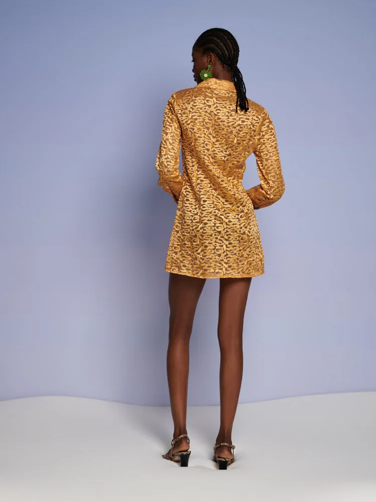 Oakley Shirt Dress