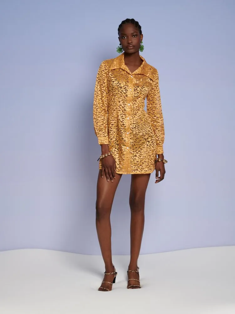 Oakley Shirt Dress